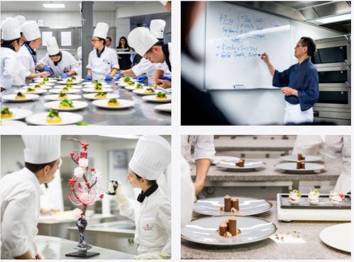 學西餐也可以出國留學,王森教育集團帶您融入行業高端圈層